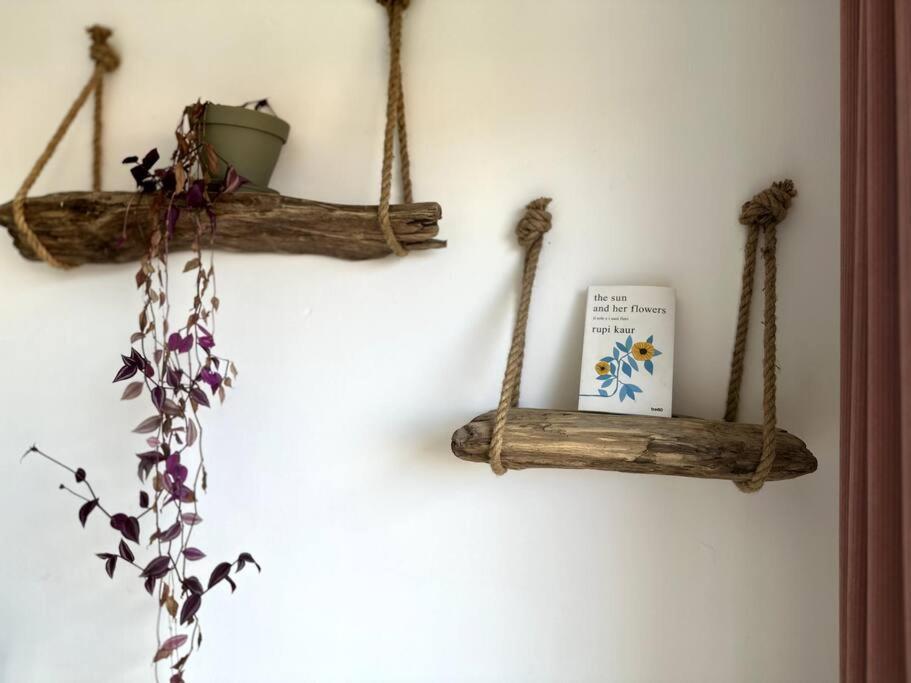Appartement Cosy Calao - Parking Ferme Gratuit Perpignan Dış mekan fotoğraf