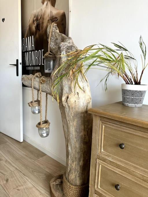 Appartement Cosy Calao - Parking Ferme Gratuit Perpignan Dış mekan fotoğraf