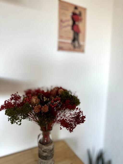 Appartement Cosy Calao - Parking Ferme Gratuit Perpignan Dış mekan fotoğraf