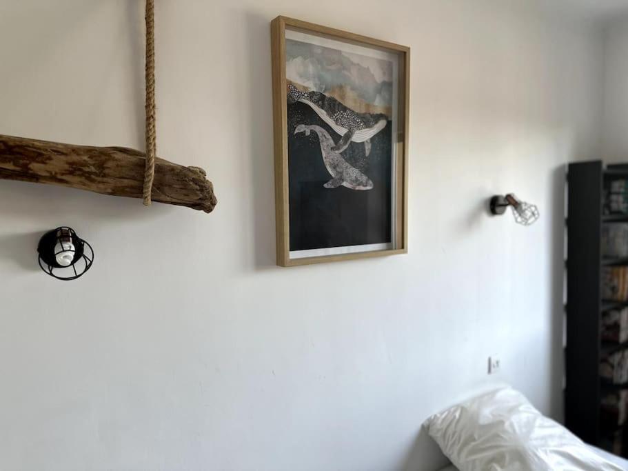 Appartement Cosy Calao - Parking Ferme Gratuit Perpignan Dış mekan fotoğraf